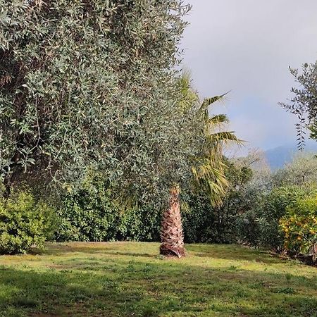 Вила Елена-Villa Elena 1 Skala Potamia  Bagian luar foto