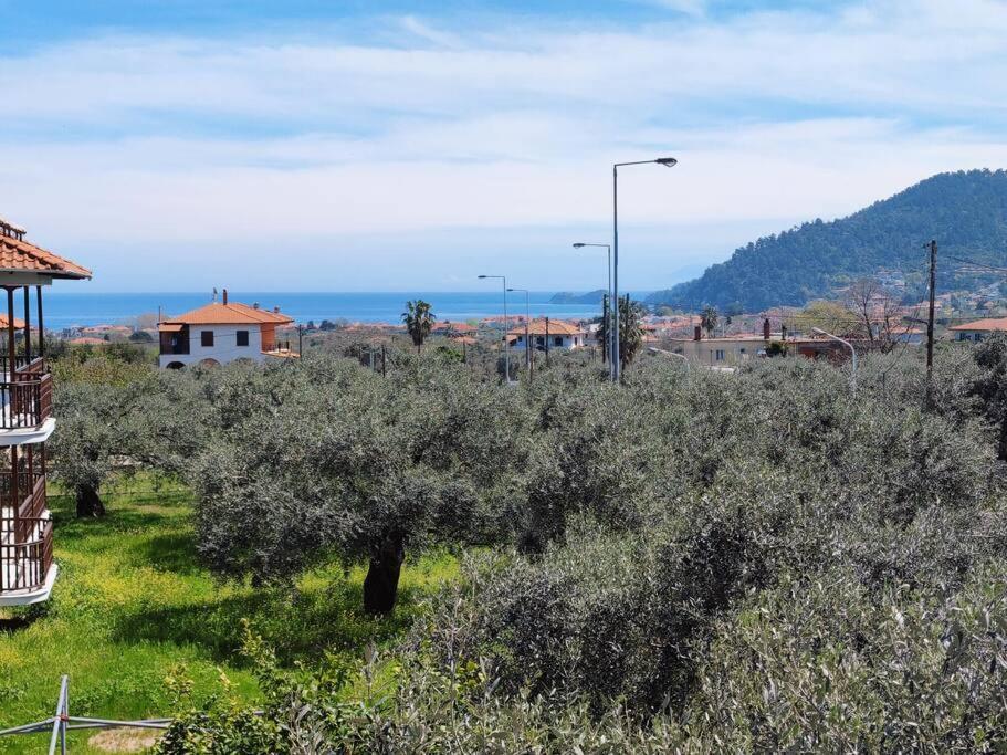 Вила Елена-Villa Elena 1 Skala Potamia  Bagian luar foto