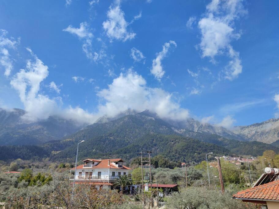 Вила Елена-Villa Elena 1 Skala Potamia  Bagian luar foto